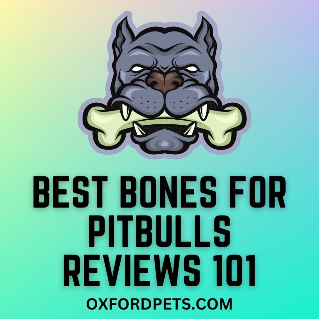 Best Bones and Chews for Pitbulls
