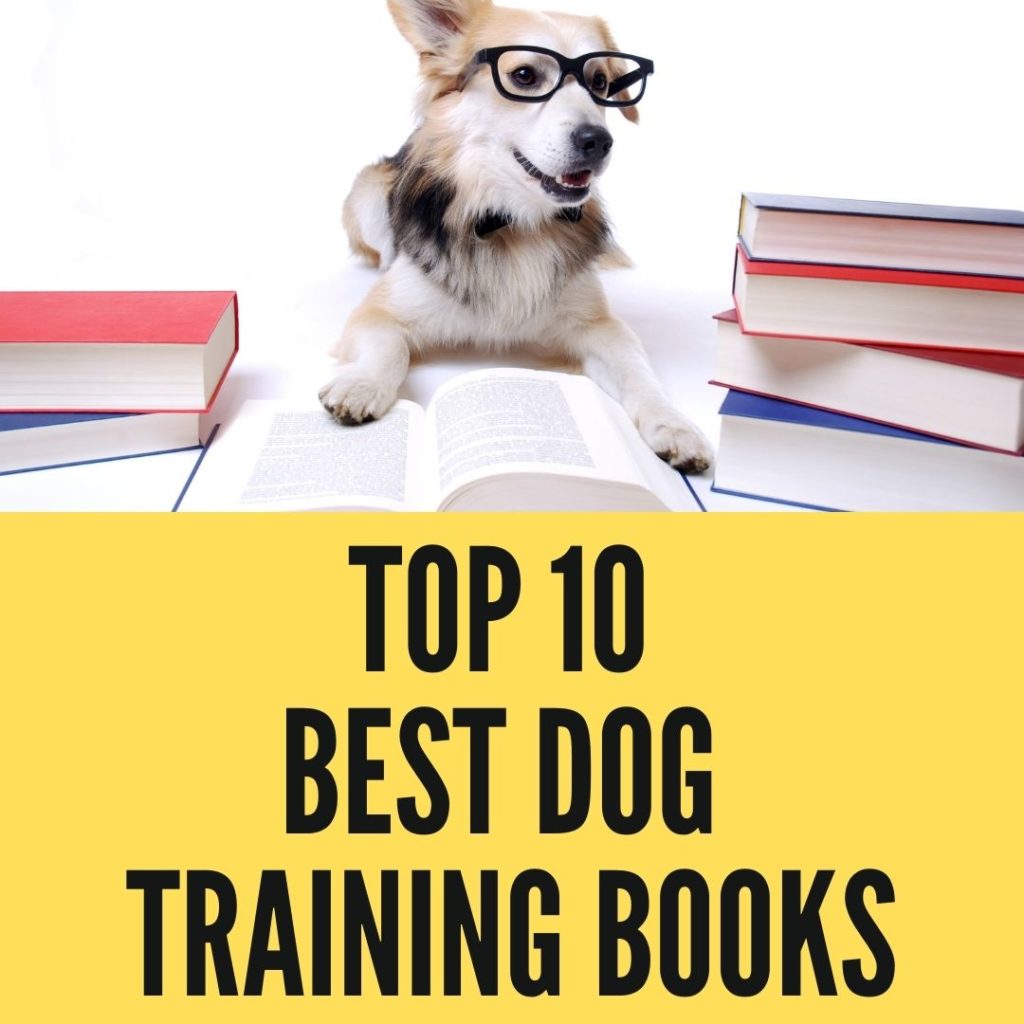 Best Dog Training Books