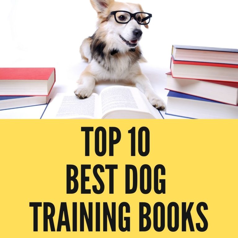 Top 10 Best Dog Training Books of All time Oxford Pets