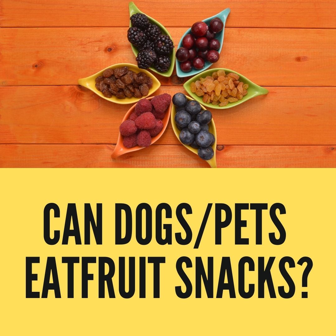Can Dogs Eat Fruit Snacks? Dogs And Fruits 2022 Review - Oxford Pets