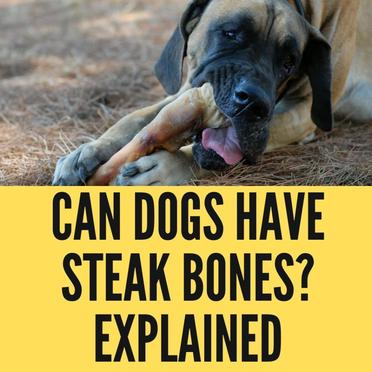 can dogs eat cooked steak bones