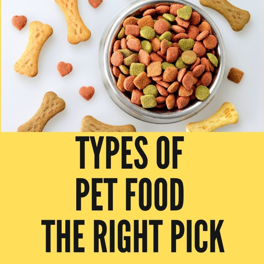 Different Types of Pet Food