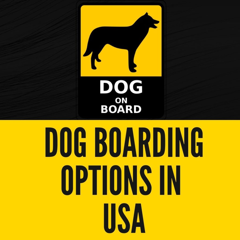 Dog Boarding Options