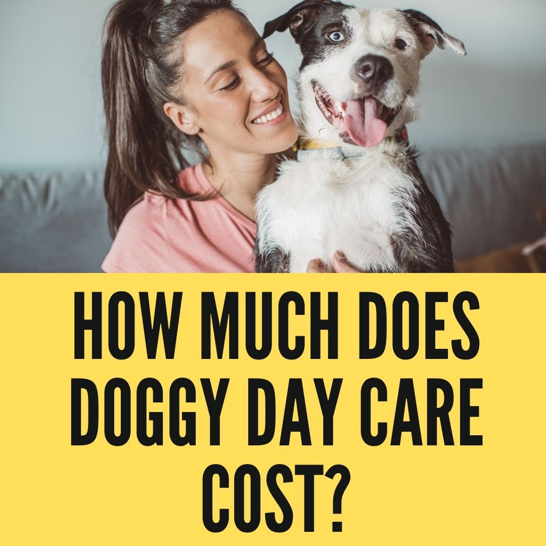 How Much Does A Doggy Daycare Worker Make