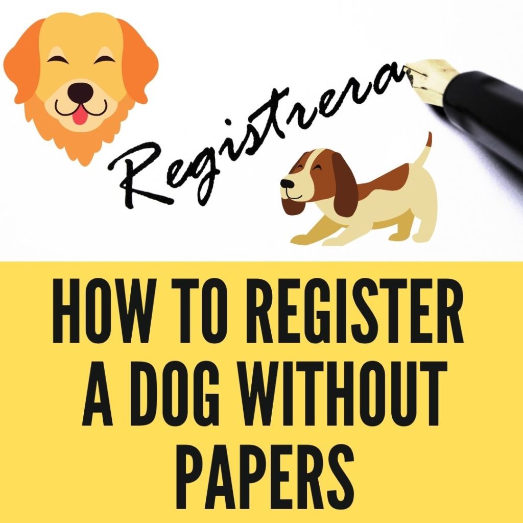 How To Register A Dog Without Papers