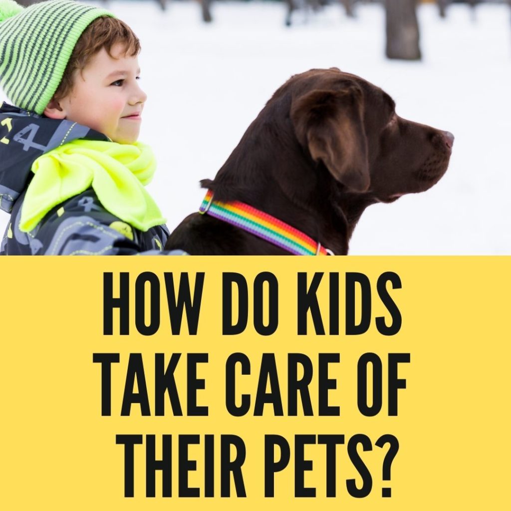 How do kids take care of their pets