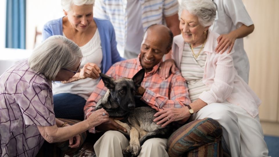 Reasons Elderly Should Have A Dog 