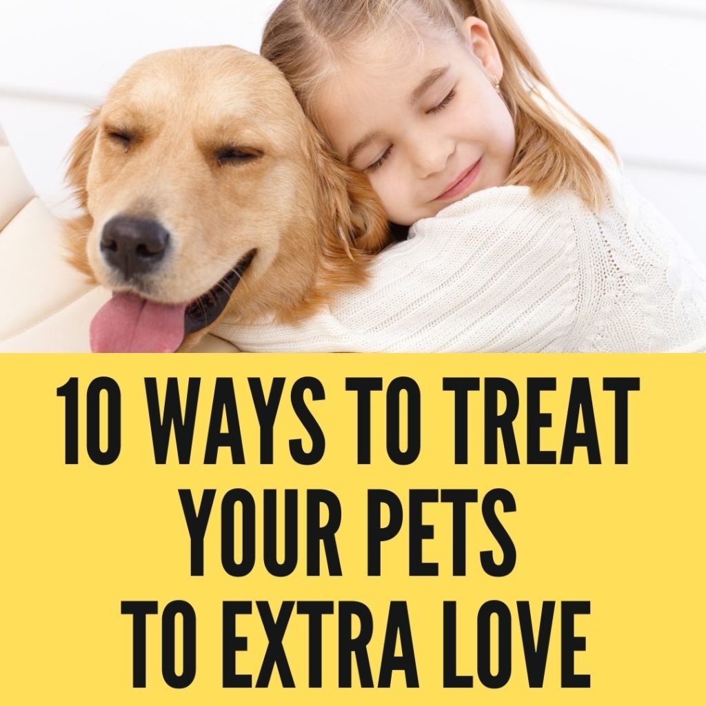 Ways To Treat Your Pets To Extra Love