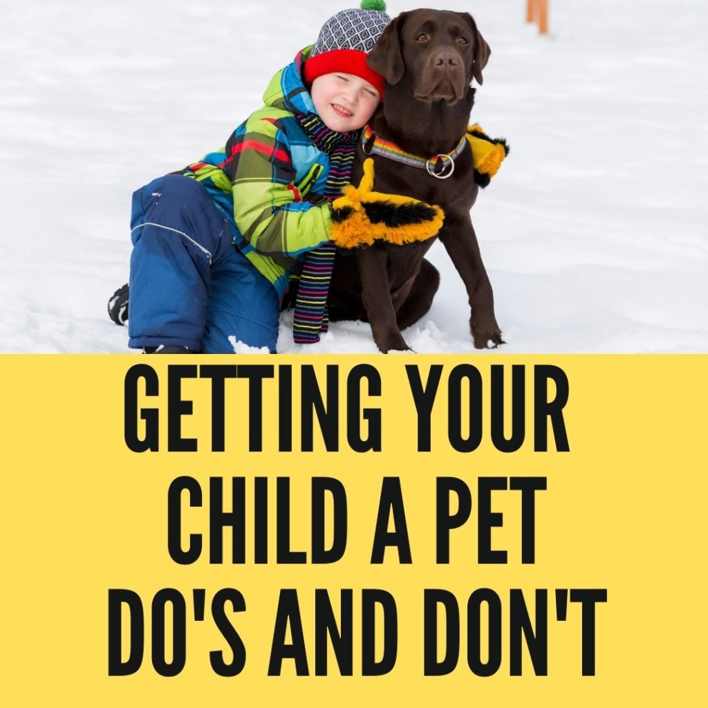 What Not To Do When Getting Your Child A Pet