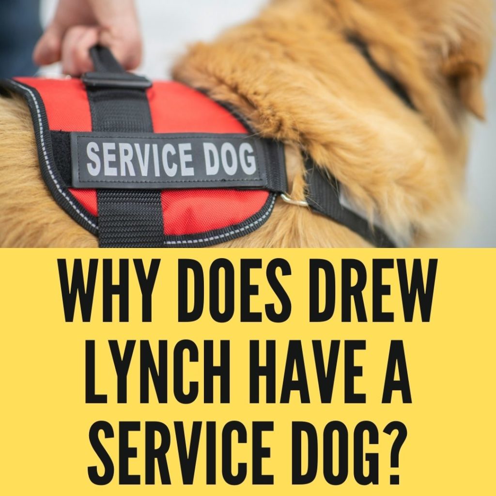 Why Does Drew Lynch Have A Service Dog