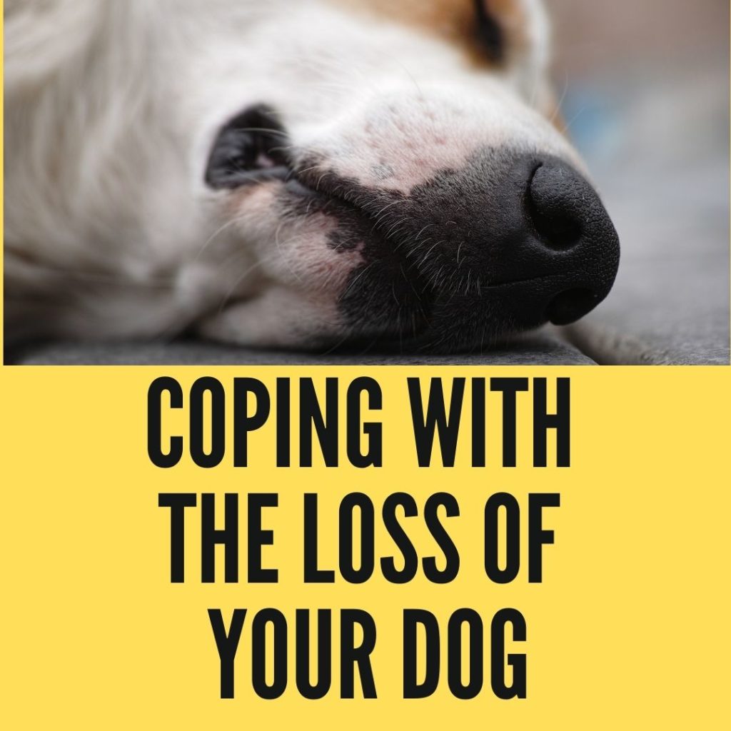 coping with the loss of your dog