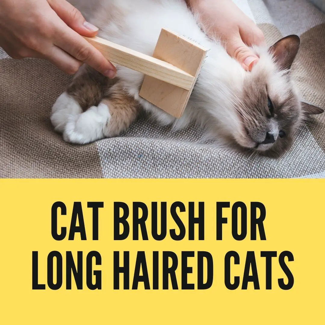 best brush for long hair cats