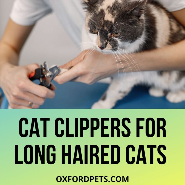 Best Cat Clippers for Long Haired Cats in 2022 Oxford Pets
