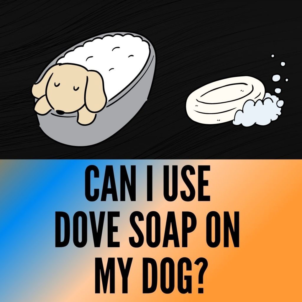 can i use dove conditioner on my dog