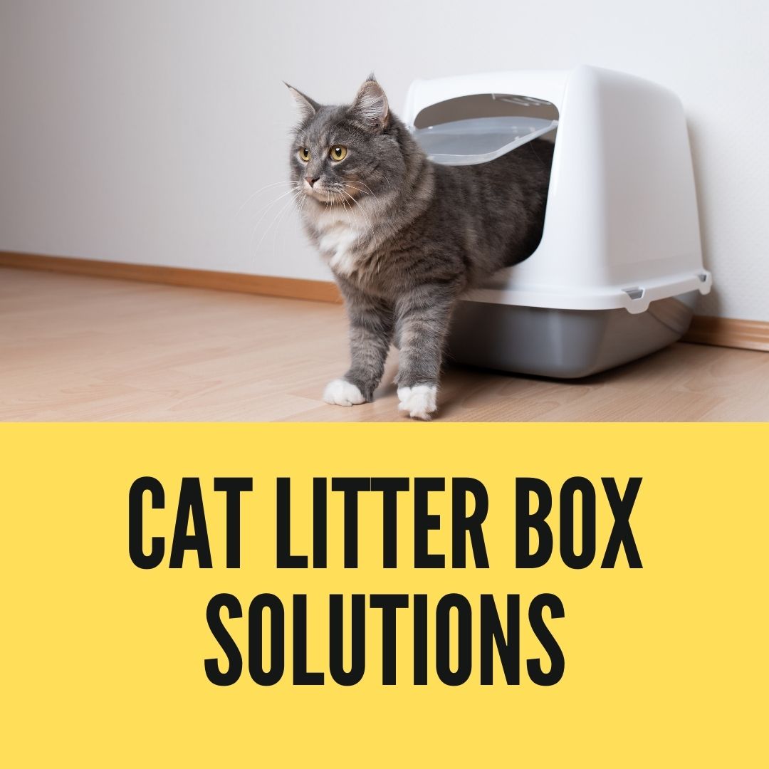 Cat Litter Box Pet Cat Self-Cleaning Litter Pan Toilet with Litter Scoop and Tray Ventilation Anti-Odor Removable Easy to Clean