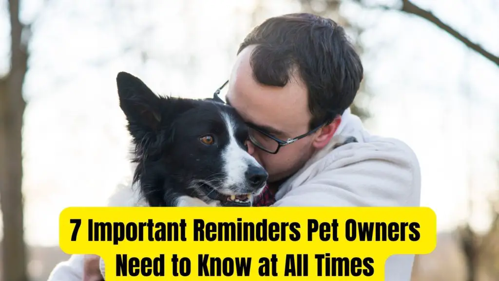 7 Important Reminders Pet Owners Need to Know at All Times