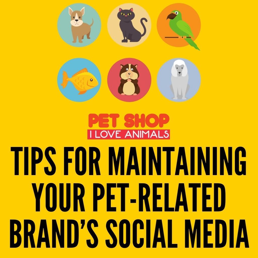 Tips for Maintaining Your Pet-Related Brand’s Social Media