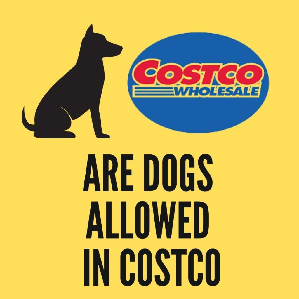 are dogs allowed in costco
