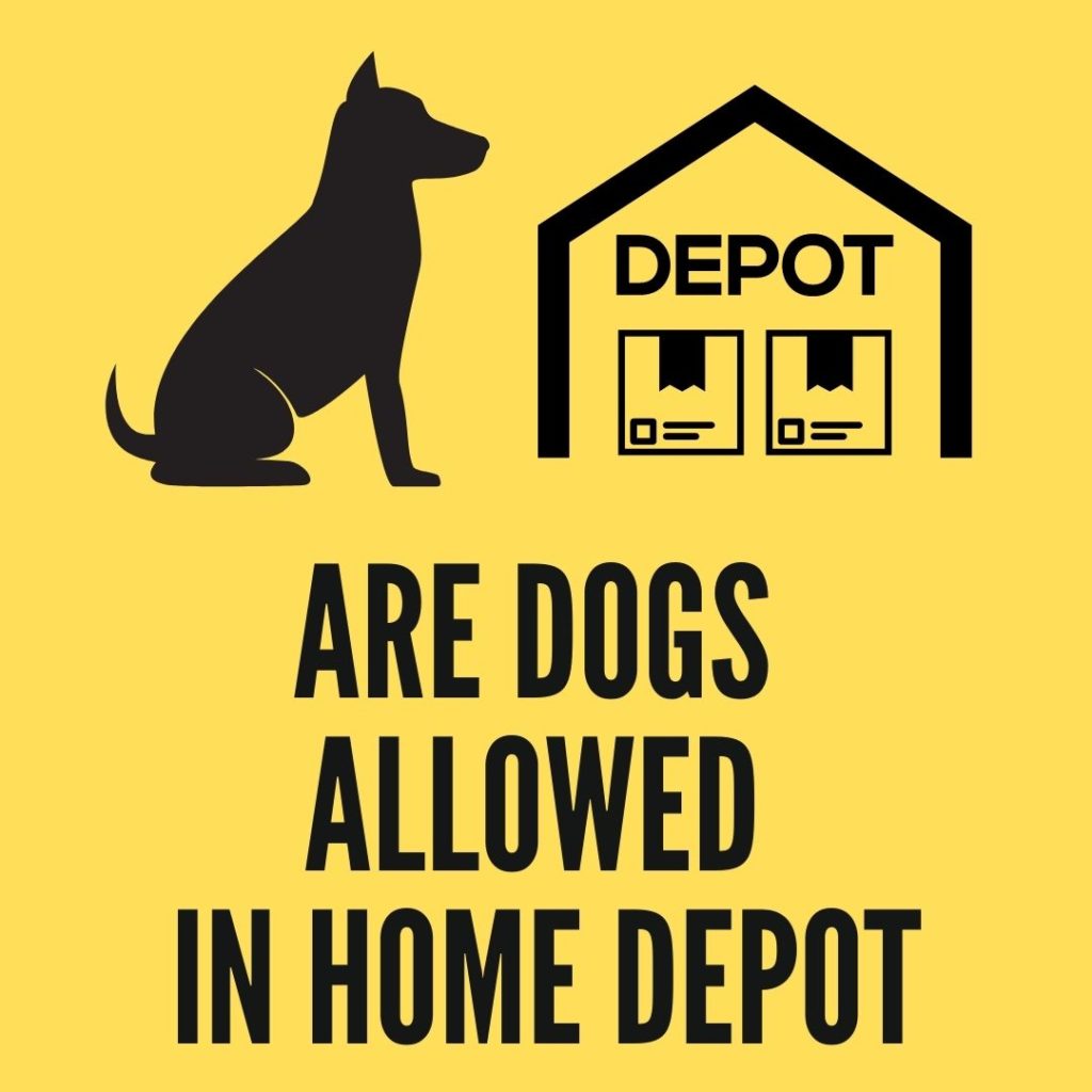 Are dogs allowed in Home Depot?