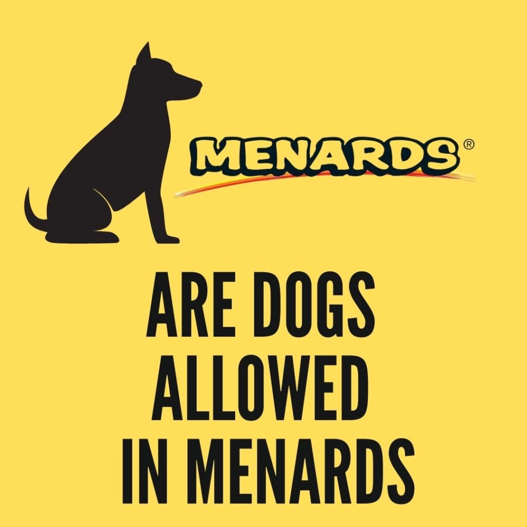 Is Menards Dog Friendly & Allow Dogs?