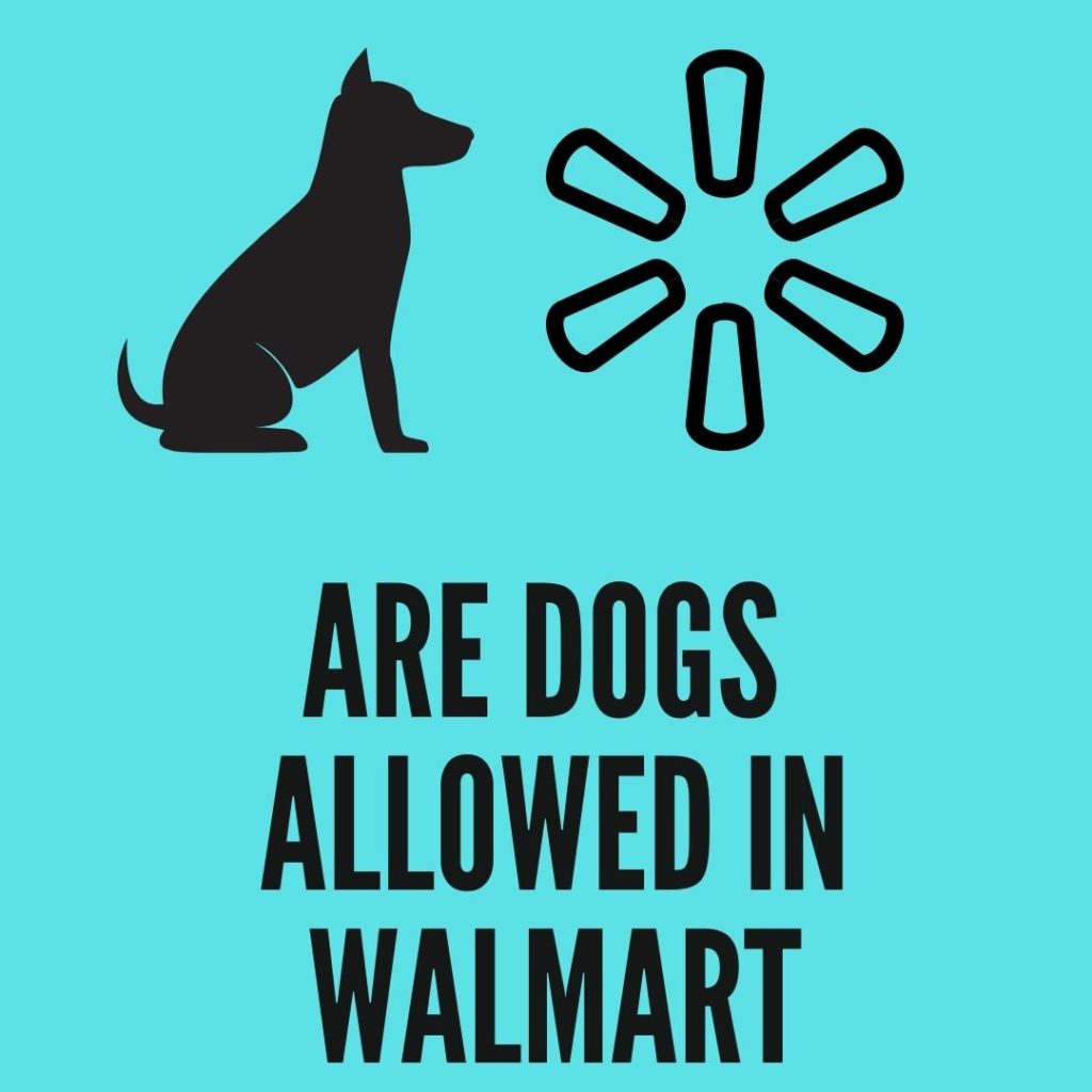 are dogs allowed in walmart