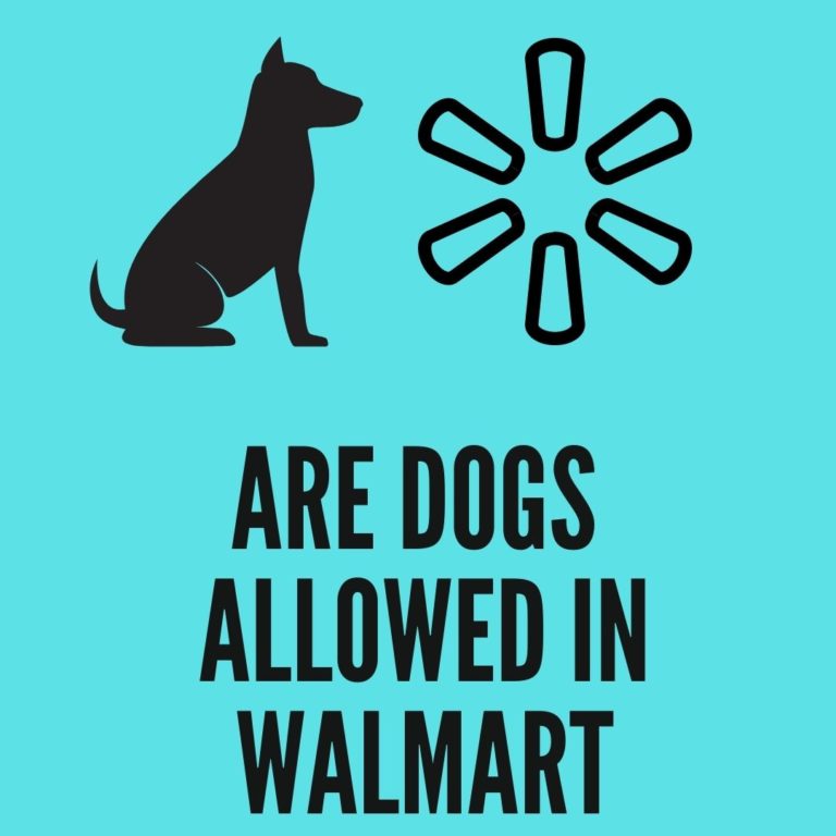 Are Dogs Allowed in Walmart? (2022 Policies) - Oxford Pets