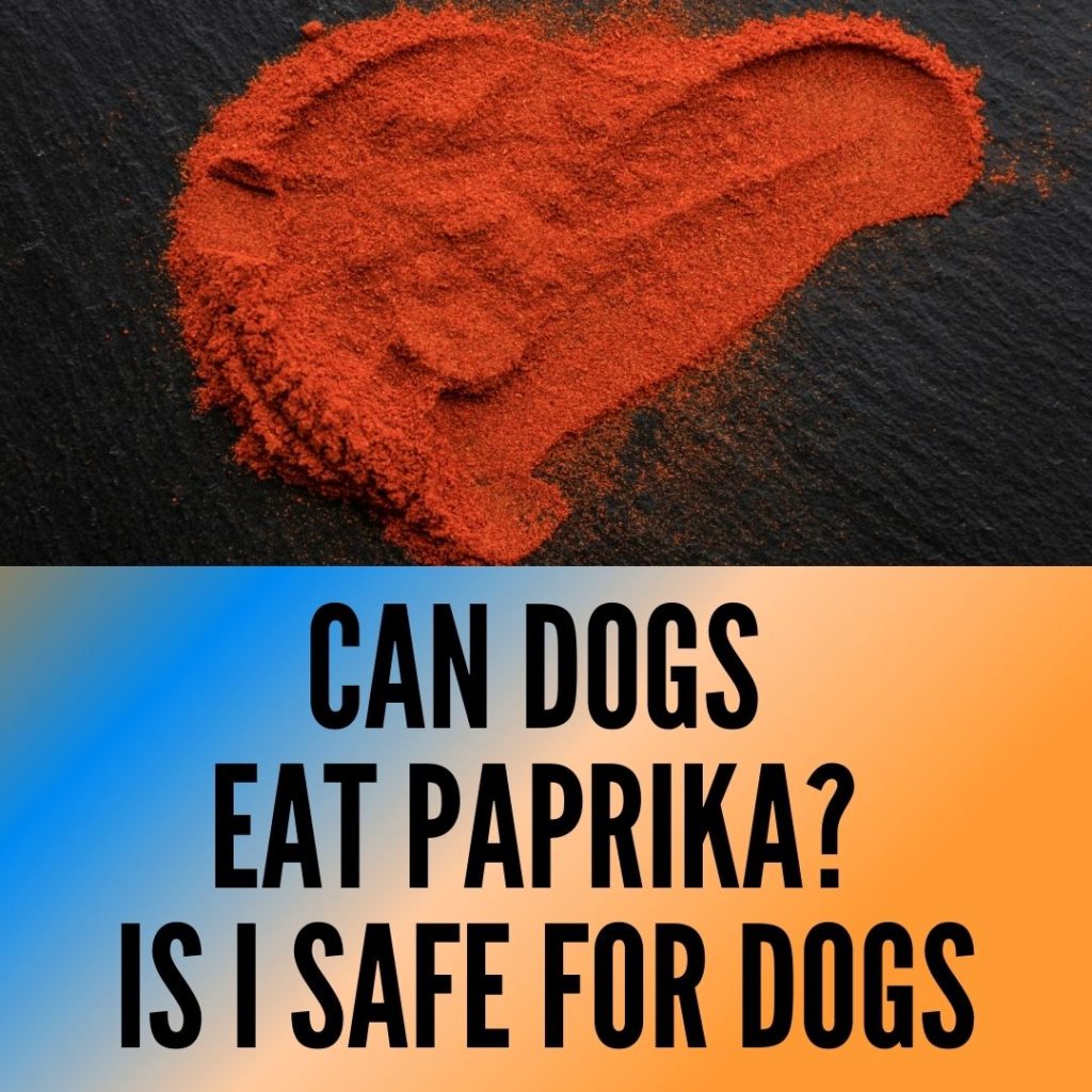 Can dogs eat paprika