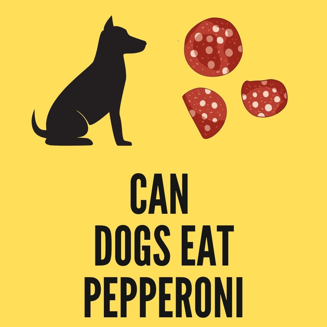 can dogs eat pepperoni