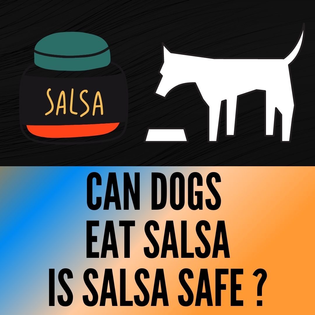 Can dogs eat salsa