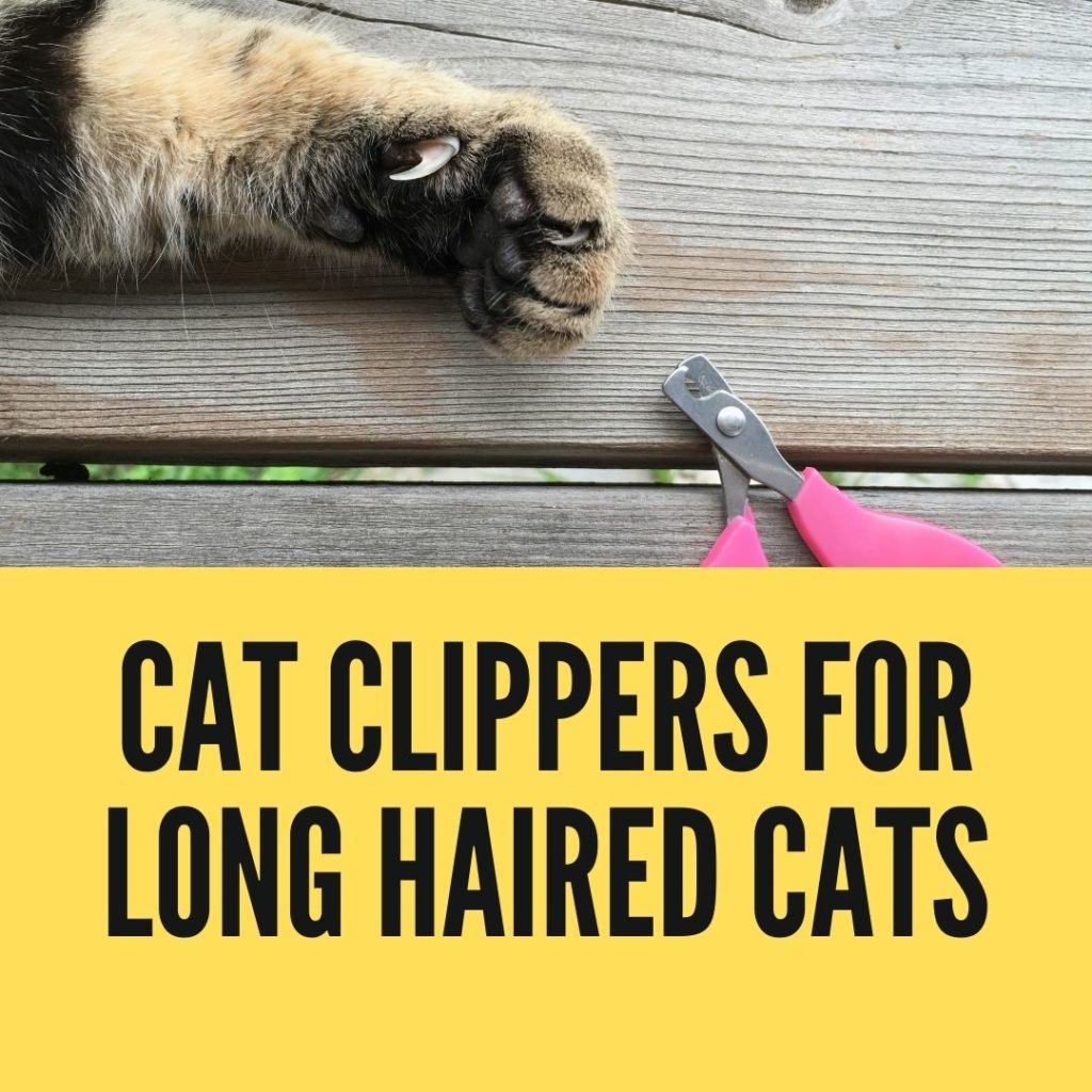 cat clippers for long haired cats