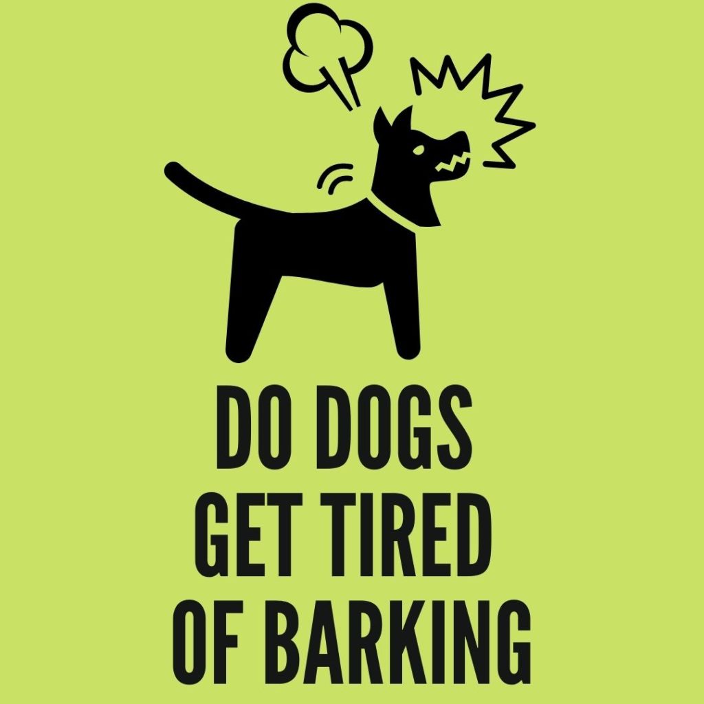 Do dogs get tired of barking