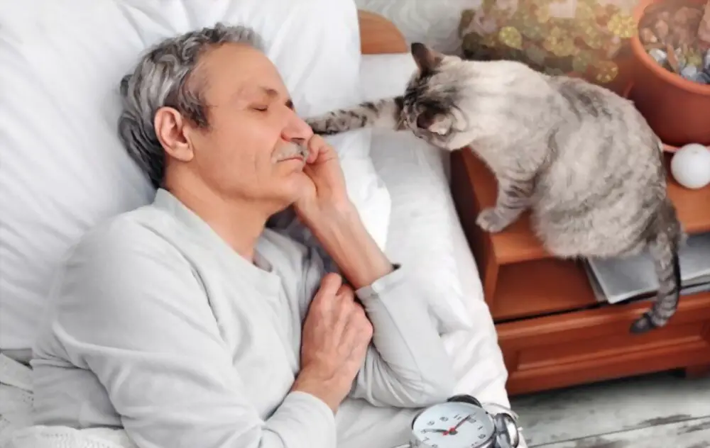 How Cats Wake Up Their Owners