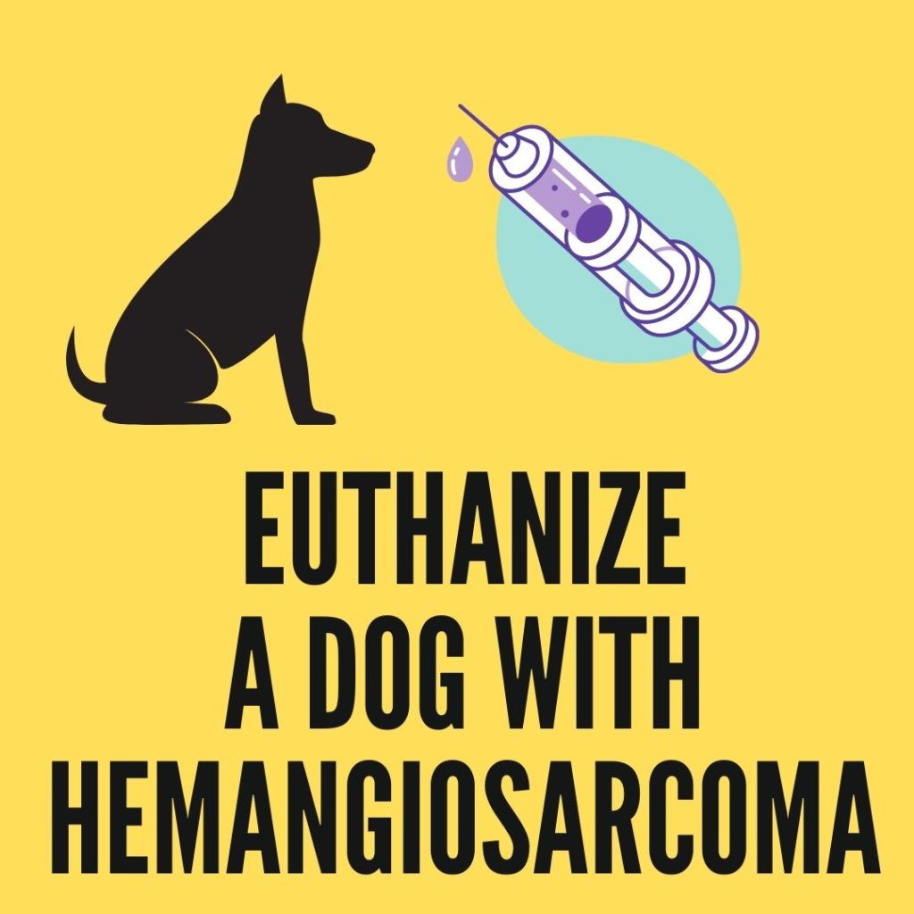 euthanize a dog with hemangiosarcoma