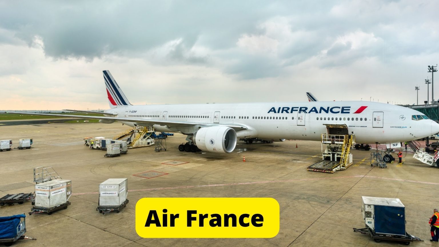 What Size of Dog Can Fly In Cabin? (Breeds, Height & Weight) Oxford Pets