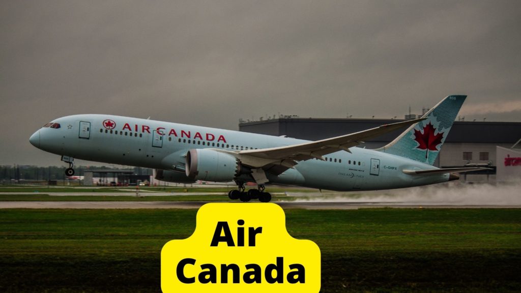 Air Canada Airlines for Pets