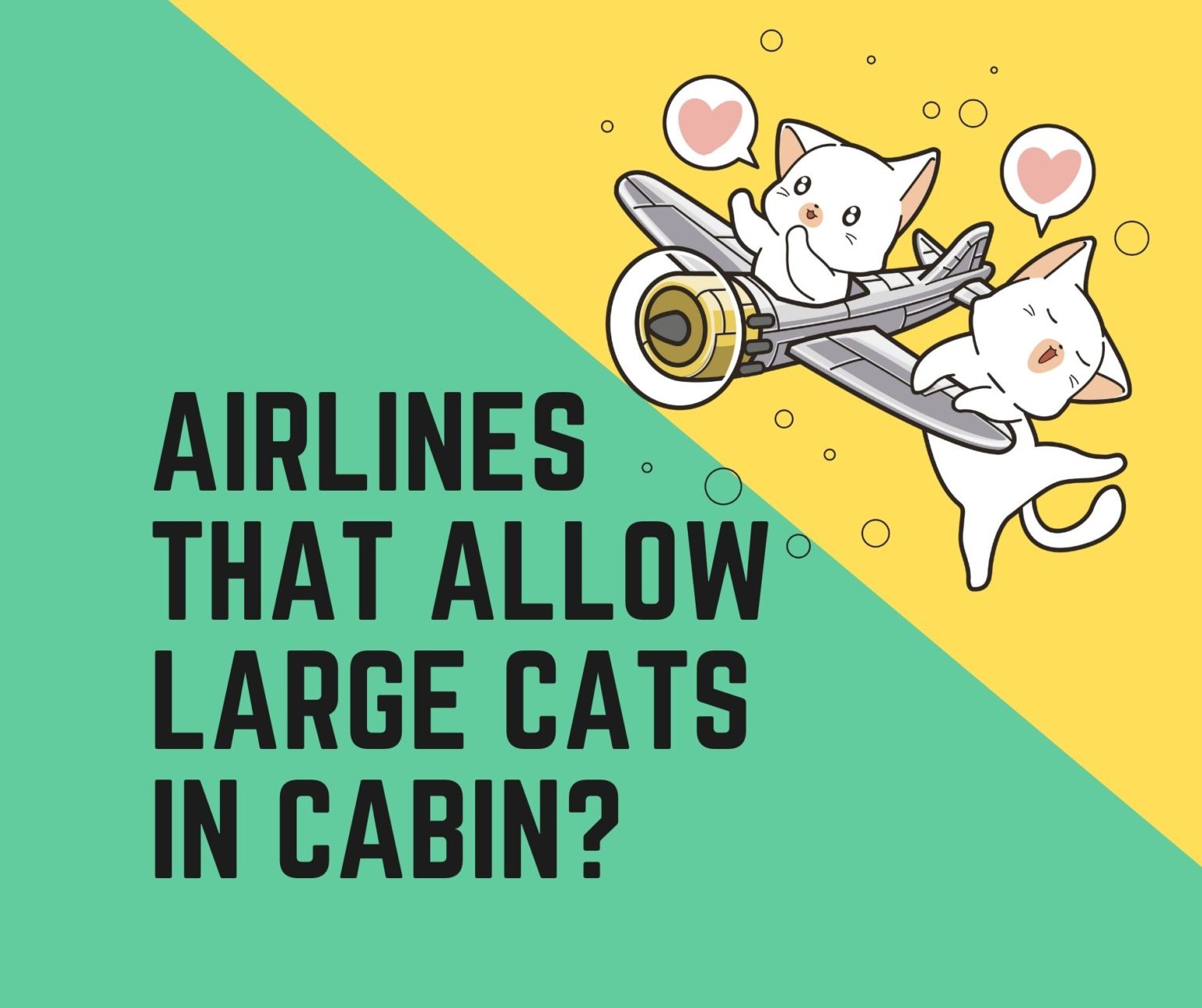 10 Airlines That Allow Cats In Cabin or Cargo in 2022 Oxford Pets