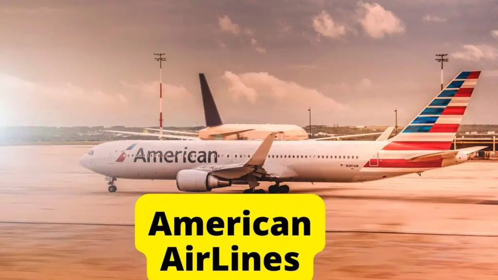 American Airlines for Pets