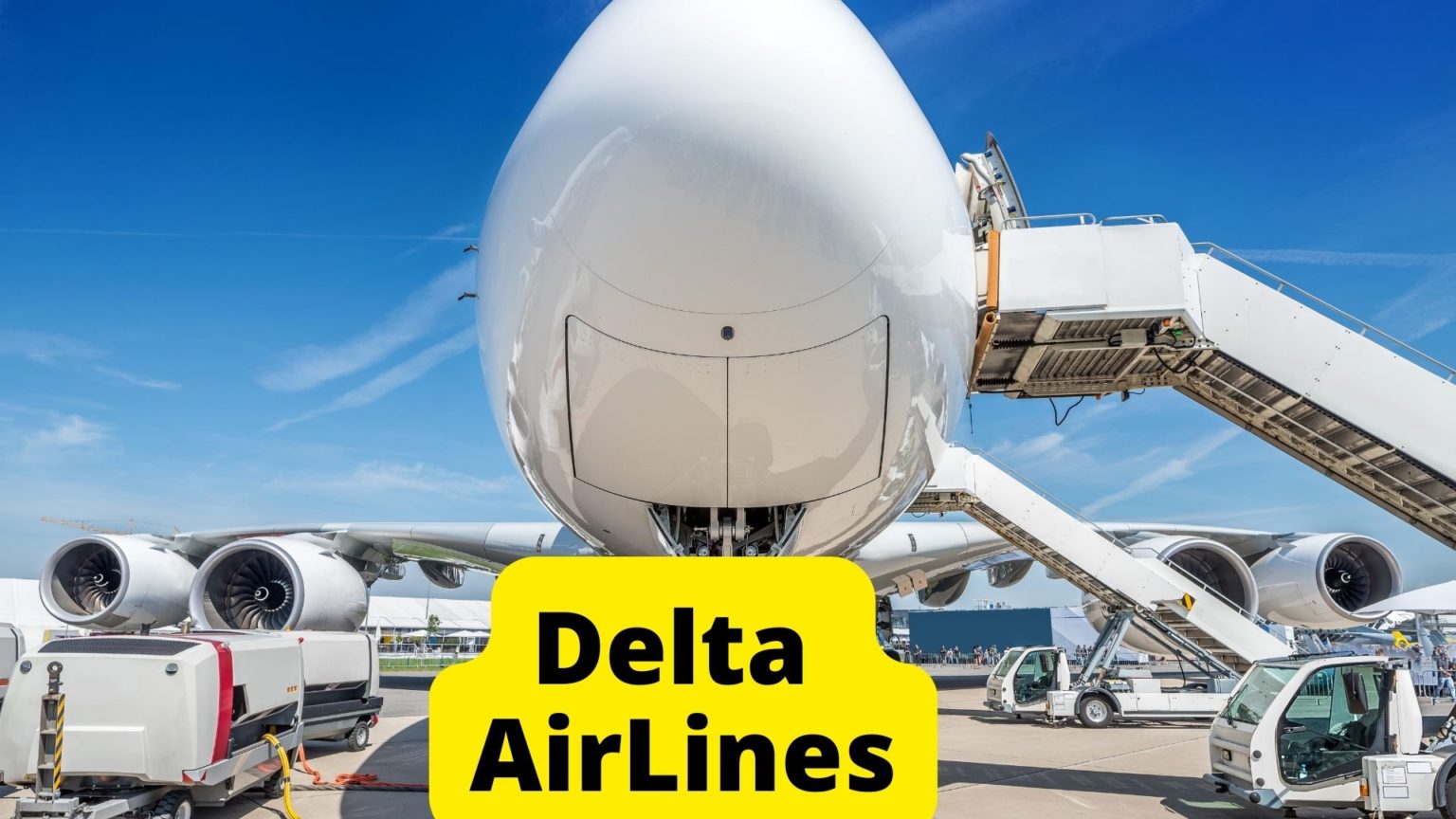 8 Airlines That Allow Big Dogs in Cabin or Cargo? Oxford Pets