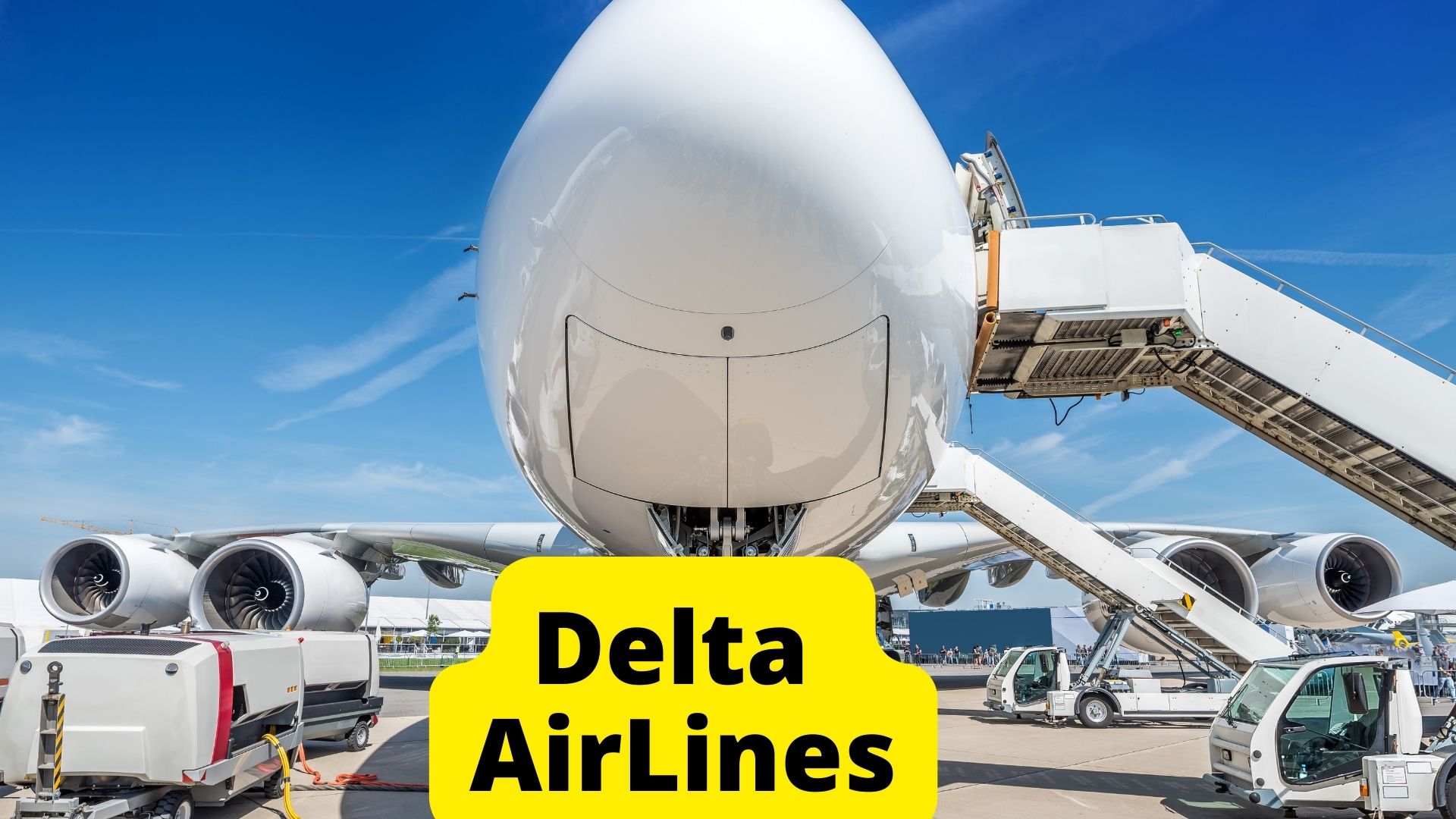 What Size of Dog Can Fly In Cabin? (Breeds, Height & Weight) Oxford Pets