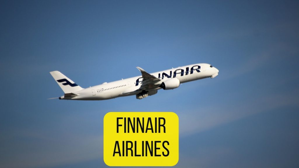 Finnair Airlines for Pets