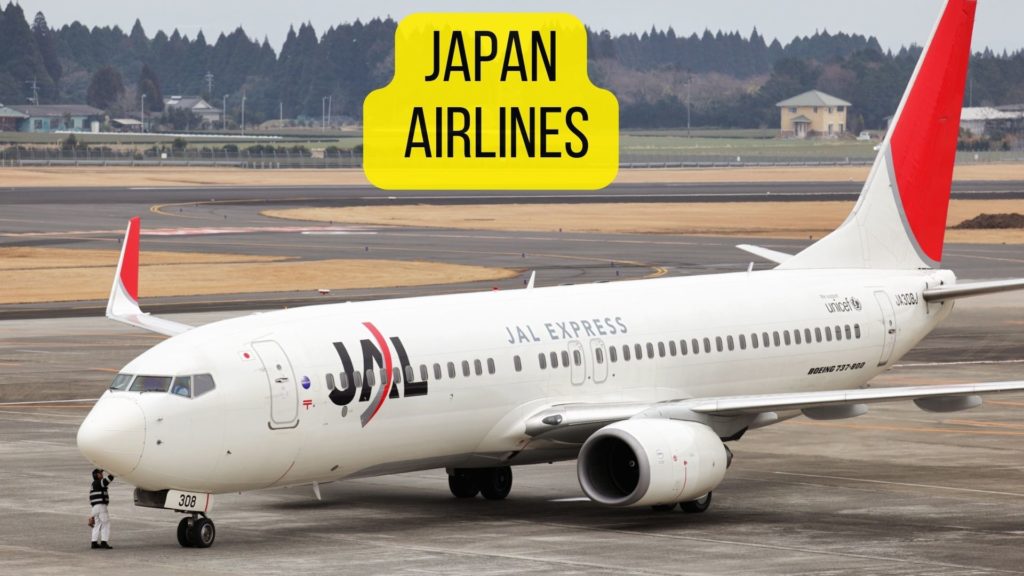 Japan Airlines for Pets JAL