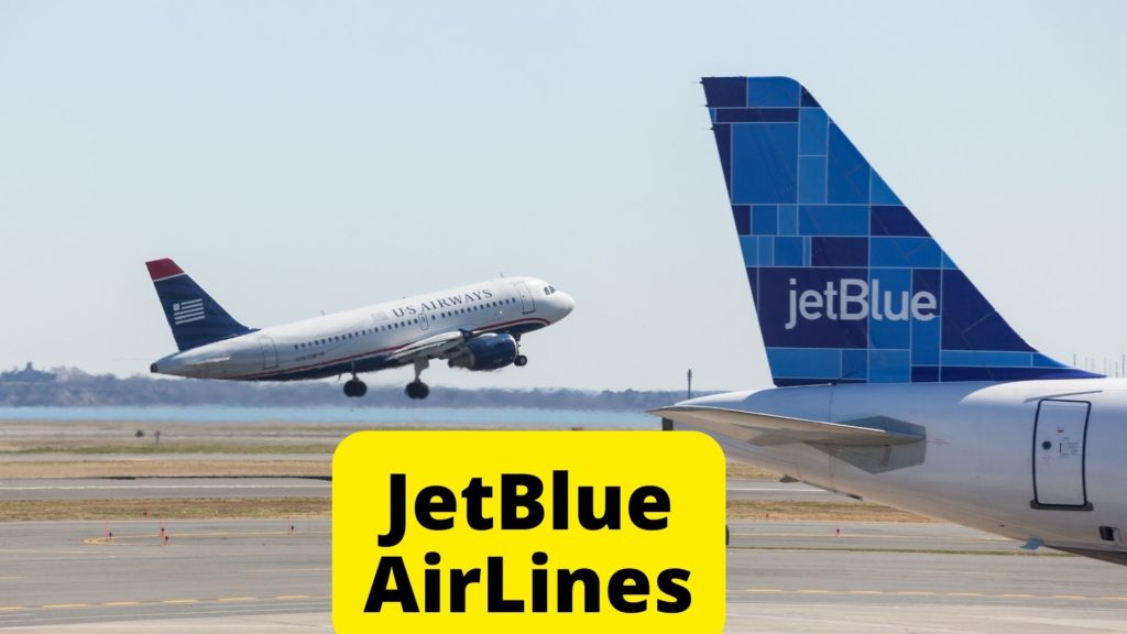 JetBlue Airlines for Pets