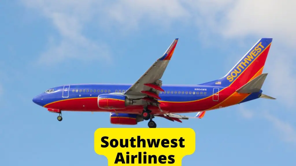 Southwest Airlines for pets