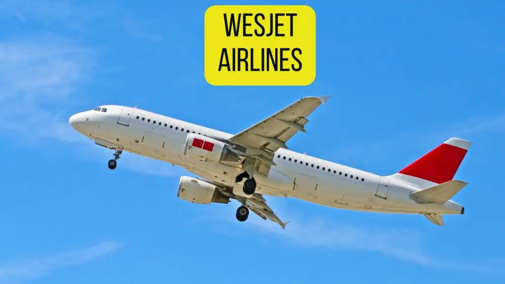 Wesjet Airlines for Pets