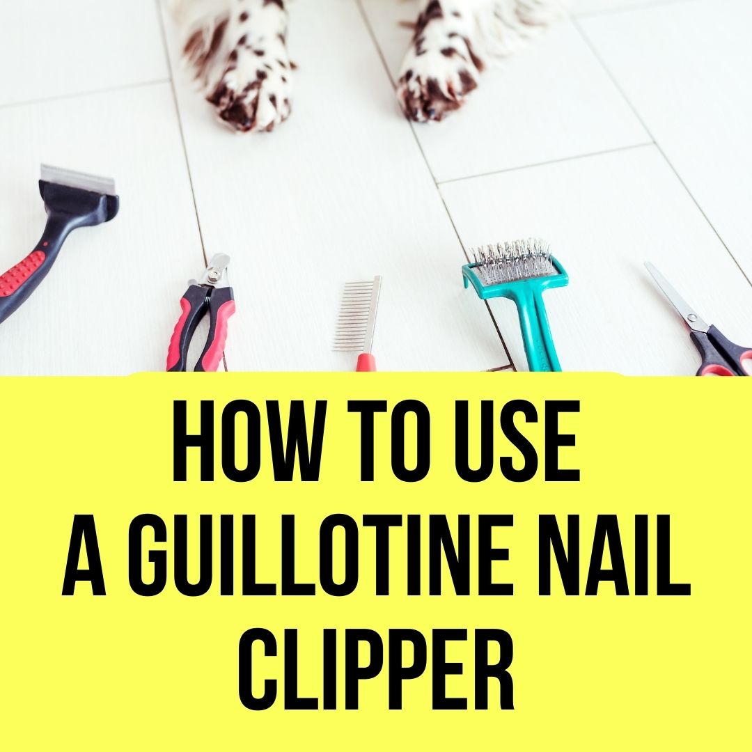 how do you use guillotine dog nail clippers