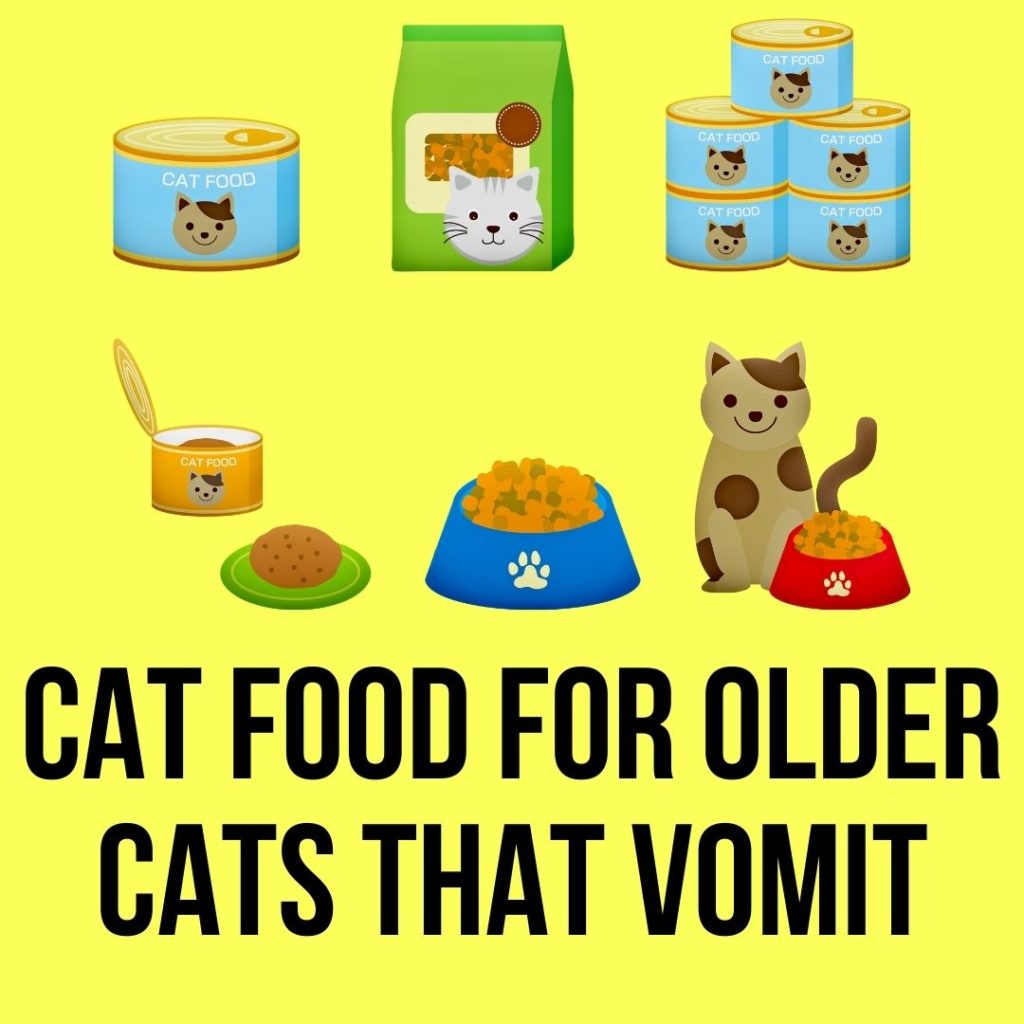 Cat Food For Older Cats That Vomit