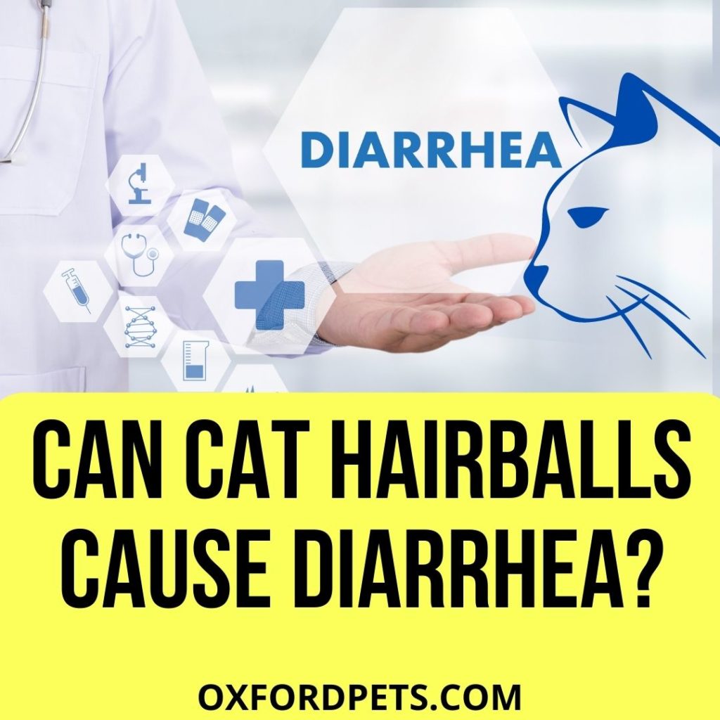 Can Cat Hairballs Cause Diarrhea