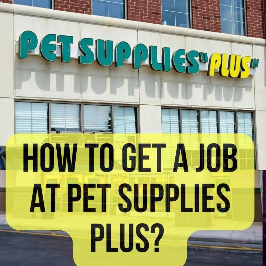 How To Get a Job at Petco