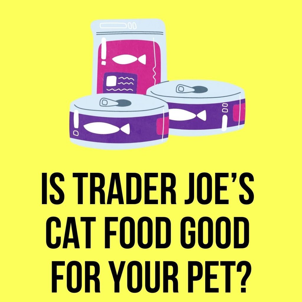Is Trader Joe’s Cat Food Good For Your Pet?