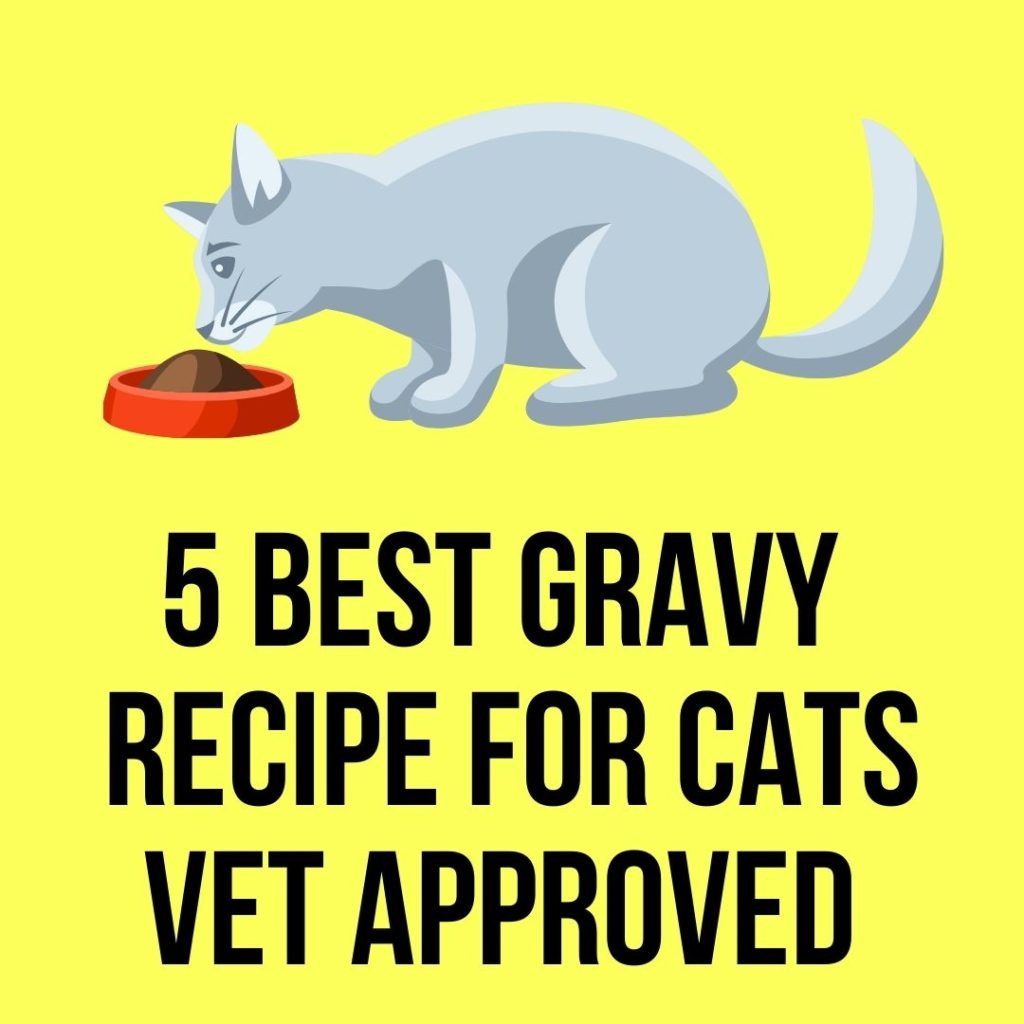 Can you make gravy for cats